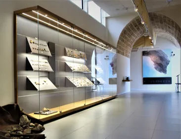 Nardò (Nardò-Lecce): Führung durch das Museo della Preistoria