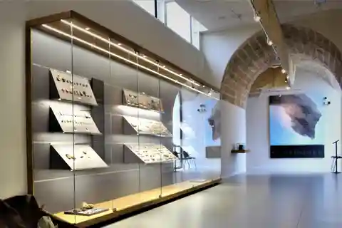 Nardò (Nardò-Lecce): Guided Tour of Museo della Preistoria