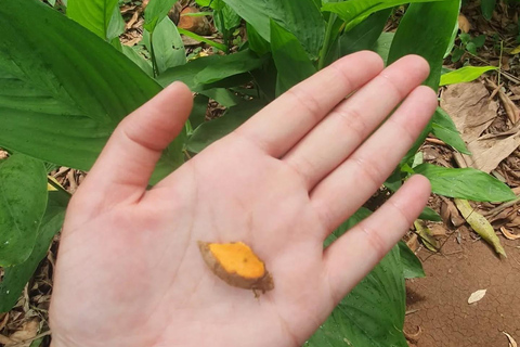 Zanzibar : Stone Town, visite des épices et de l'île prison avec déjeunerVisite privée