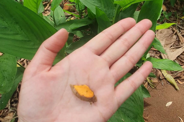 Zanzibar : Stone Town, visite des épices et de l'île prison avec déjeunerVisite privée