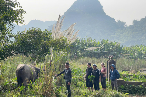3-Day: Ha Long–Lan Ha Bay & Ninh Binh 5 Stars Cruise