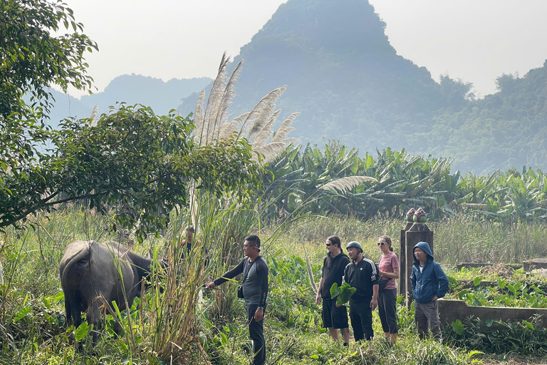 3-Day: Ha Long–Lan Ha Bay & Ninh Binh 5 Stars Cruise