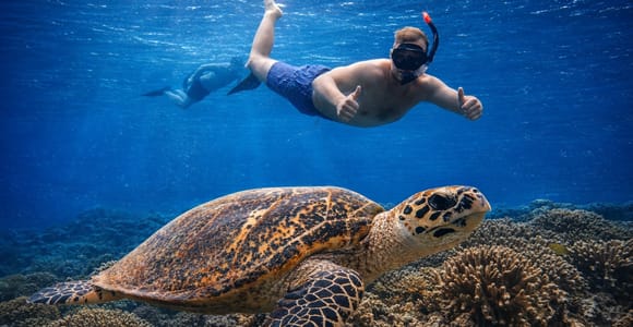 Pemuteran: Menjangan Island Shared Reef Snorkeling & Lunch