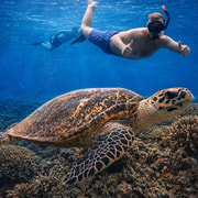 Pemuteran: Menjangan Island Shared Snorkeling + Lunch