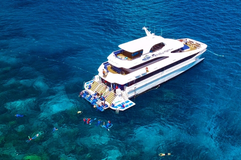 Cairns: Great Barrier Reef Cruise with Gold Class Lounge