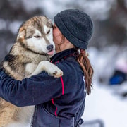 Tromsø: Husky Meet and Greet with Homemade Chocolate Cake