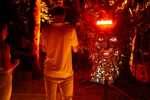 Foz do Iguaçu: Wonder Experiences and a visit to Lumina Park