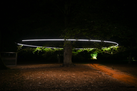 Porto: Serralves Em Luz Immersive Light Show Entry Ticket