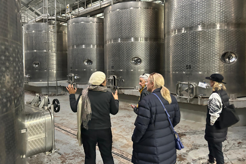 Casablanca | Wine tasting tour