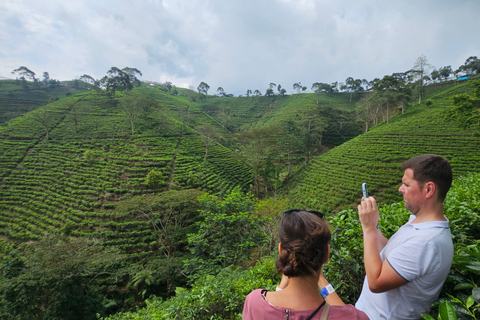 "Java Highlights: Yogyakarta to Bromo & Ijen Volcanoes"