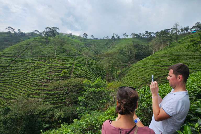 "Java Highlights: Yogyakarta to Bromo & Ijen Volcanoes"