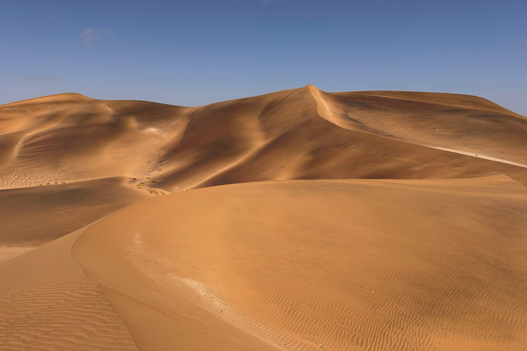 From Swakopmund/Windhoek: Skeleton Coast & Stargazing Tour