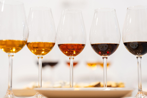 Wine and cheese tasting from Andalucia