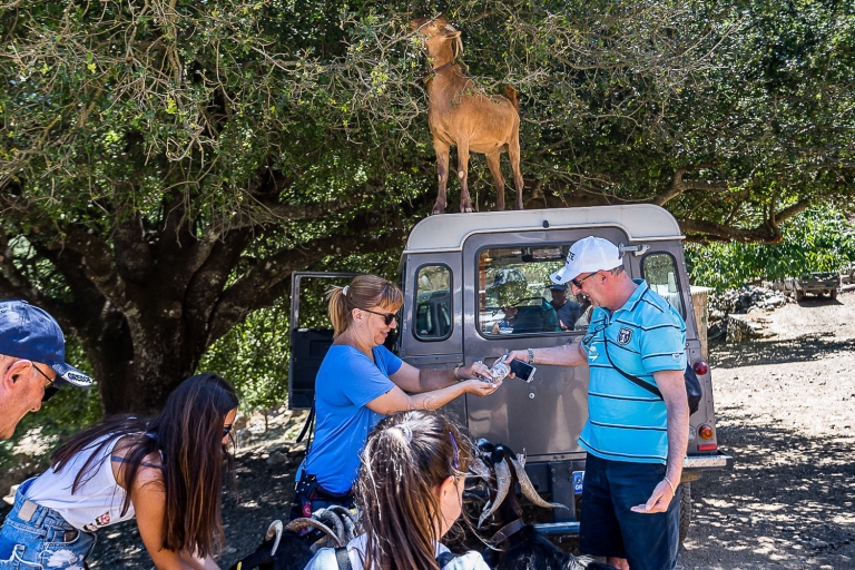 Creta: Land Rover Safari en la ruta minoicaLand Rover Safari con recogida en Anissaras