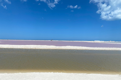 Flamingo Classic: Rio Lagartos and Las Coloradas