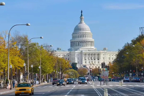 Washington DC : Visite à pied du Capitole9:00 Tour