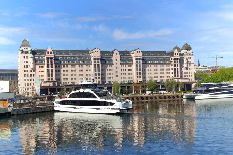 Oslo: Oslofjord Electric Boat Cookie Cruise