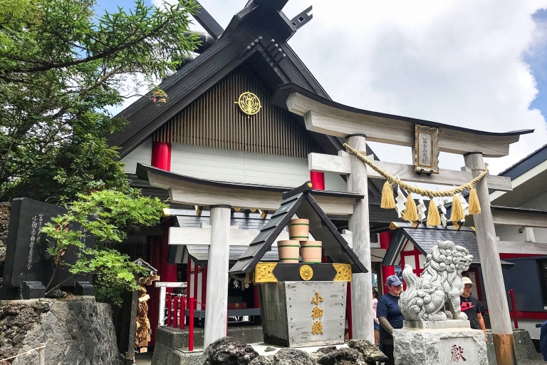 Vanuit Tokio: dagexcursie naar de berg FujiGedeelde tour