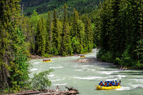 Panorama: Toby Creek Whitewater Rafting Adventure