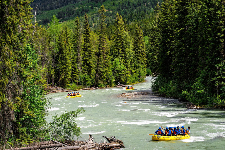 Panorama: Toby Creek Whitewater Rafting Adventure