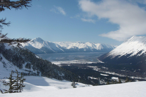 Anchorage: Turnagain Arm Scenic Winter Tour with a Guide