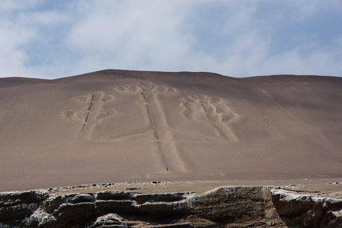 Au départ de Lima : visite d&#039;une jounée de Paracas et de l&#039;oasis de Huacachina
