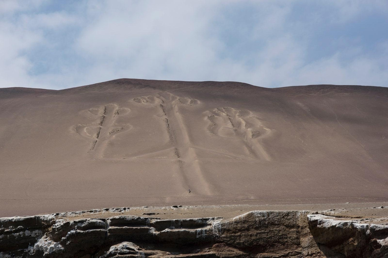 Au départ de Lima : visite d&#039;une jounée de Paracas et de l&#039;oasis de Huacachina