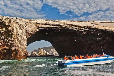 From Ica: Ballestas Islands and Paracas National Reserve …