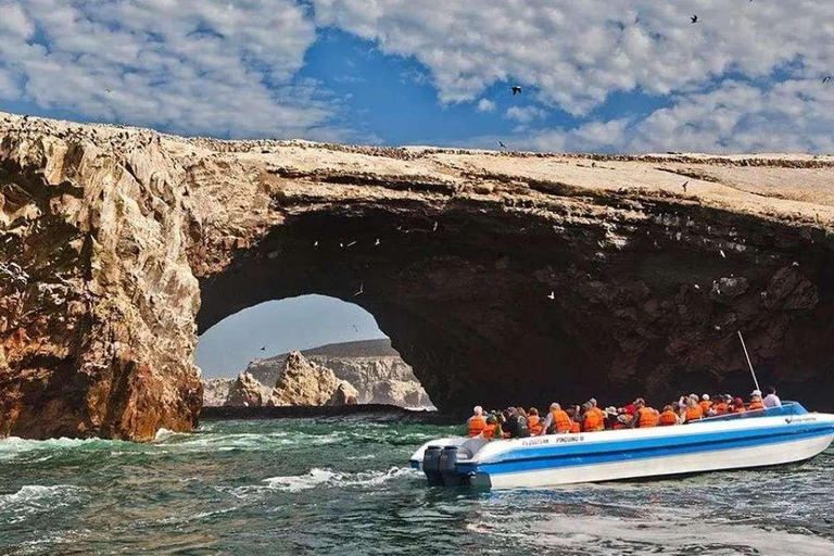 Depuis Ica : les îles Ballestas et la réserve nationale de Paracas ...