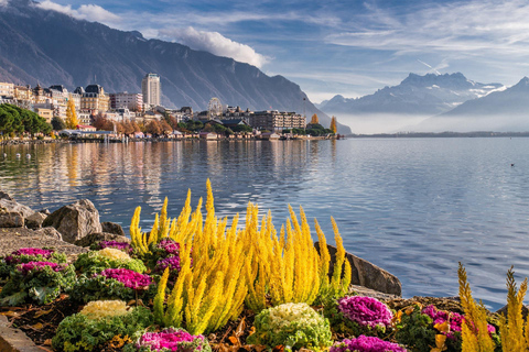 Private day trip: Lausanne to Vevey, Montreux & Aigle Castle