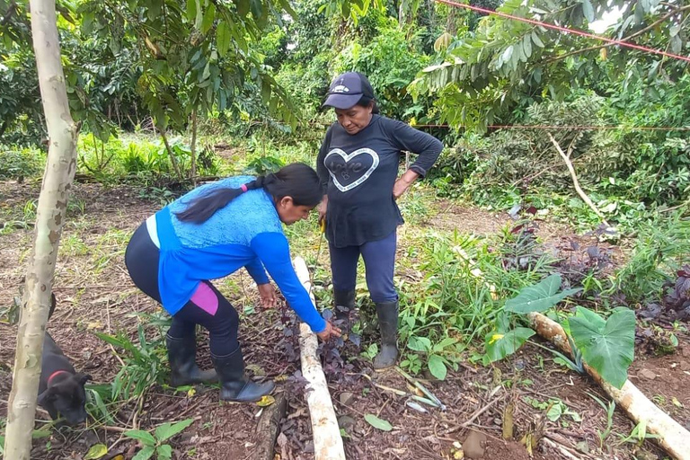 Från Iquitos: Halvdagstur till Paradiset