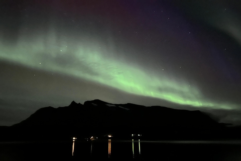 Harstad/Narvik/Tjeldsund: noorderlicht bezichtigen met de auto