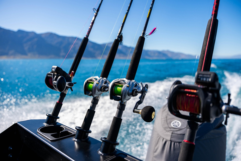 Lake Wakatipu: 3 Hour Fishing Adventure by Boat Private Tour