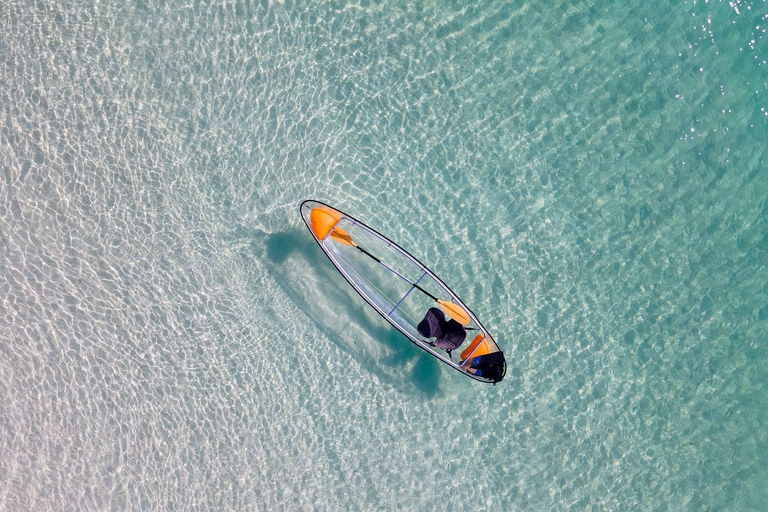 Zanzibar : baignade avec un cheval et kayak en eau claire