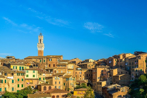 Siena: geleide wandeling van 2 uur en voorrang DuomoSiena: wandeltocht van 2 uur en voorrang Duomo - Engels