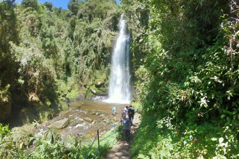 Randonnée guidée à la cascade La Chorrera