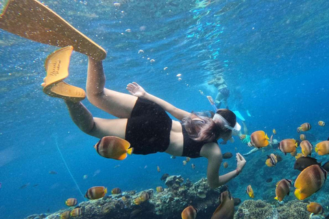 Incrível passeio de mergulho com snorkel na Ilha Cham saindo de Hoi An ou Da NangServiço de busca em Da Nang