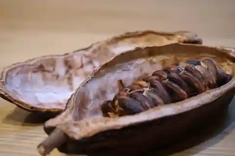 トリノの高級チョコレート・テイスティング