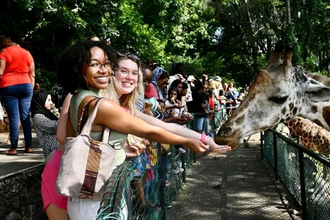 Mombasa: Wandeling met gids langs giraffen in Haller Park.