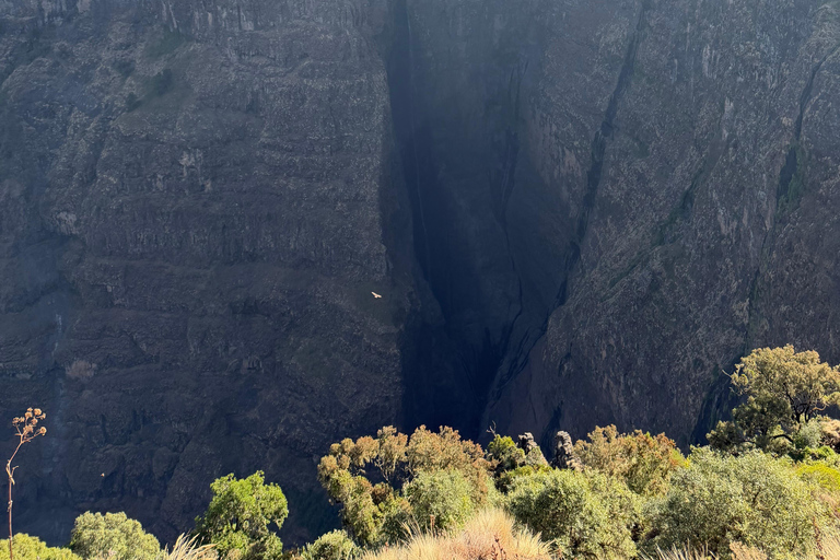 Exceptional Simien Mountains 3-Day Trekking Tour