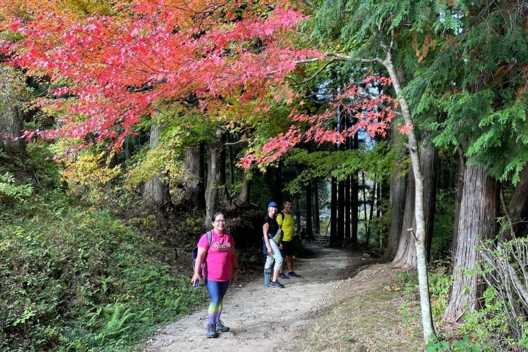 Nagoja: Całodniowa wycieczka Kisoji Nakaendo Trail TourCałodniowa wycieczka Kisoji Nakaendo Trail Tour z Nagoi