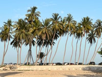 Salalah City Tour, Nature, Culture, History, Food, Shopping - Housity
