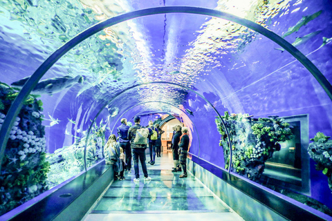 San Francisco: Alcatraz, Muir Woods &amp; Sausalito 2-daagse tour