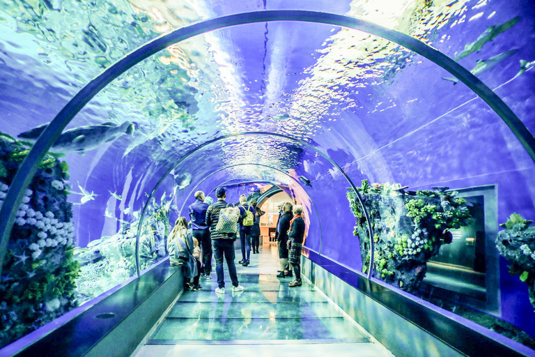 San Francisco: Alcatraz, Muir Woods &amp; Sausalito 2-daagse tour