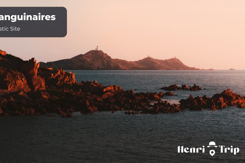 Corsica : The Only Guide