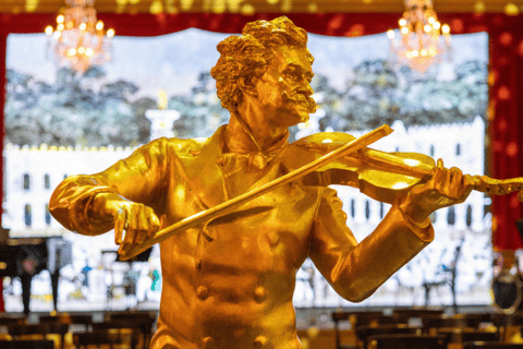 Vienna: concerto di Strauss dal vivo con cantante, orchestra e spettacolo di luciCategoria VIP: 1 - Seconda fila (incluso libretto del programma del concerto)