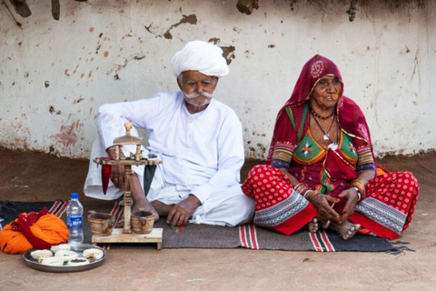 Experimenta la auténtica vida de pueblo Excursión de un día EX Jaipur