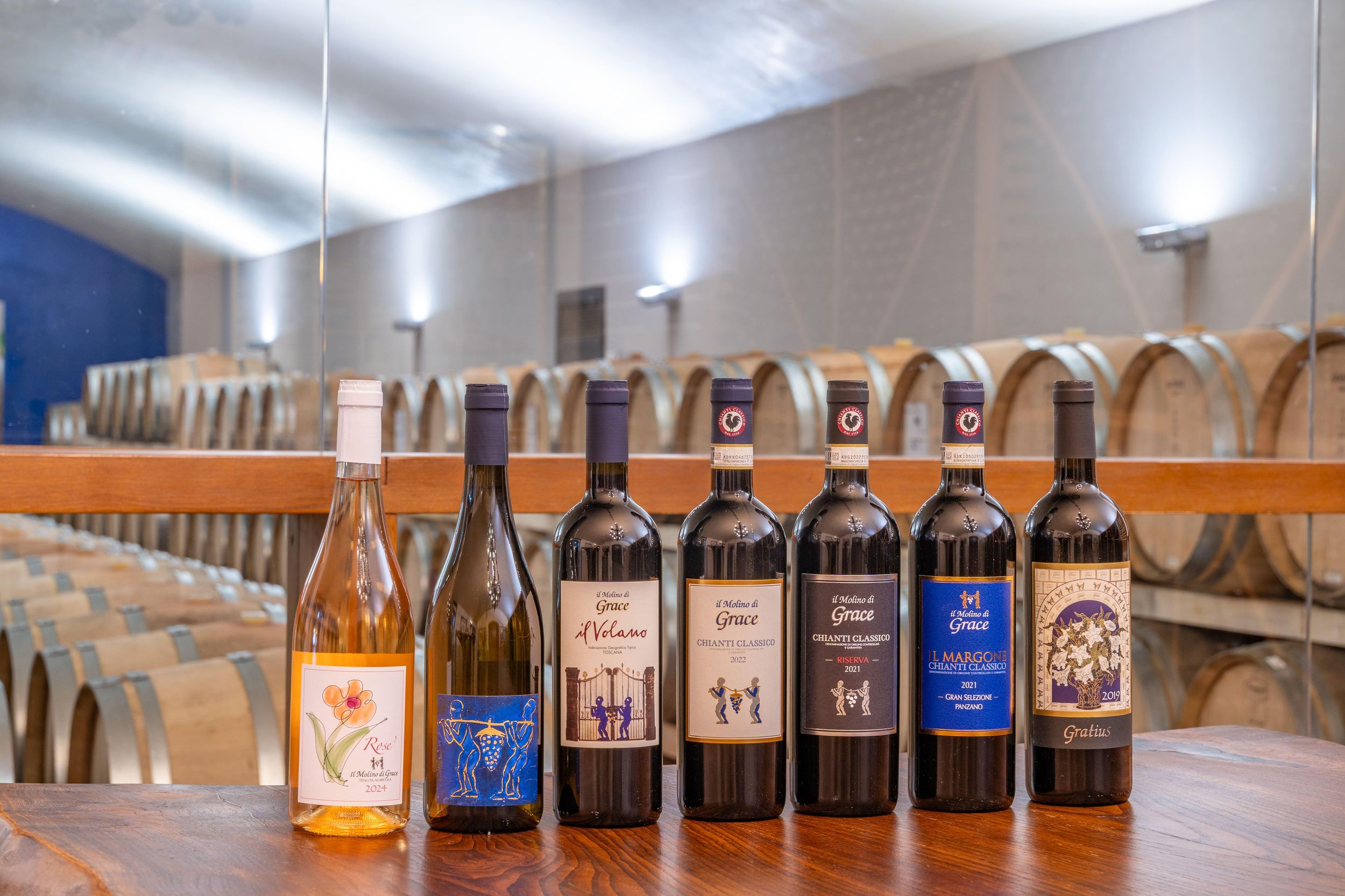 Chianti: Private Weingut-Tour und Weinverkostung