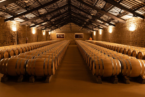Bilbao: Rioja Wine Region Private Day Tour