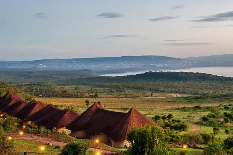 6 dias de Safari no Lago e no mato - Lago Naivasha e Masai Mara